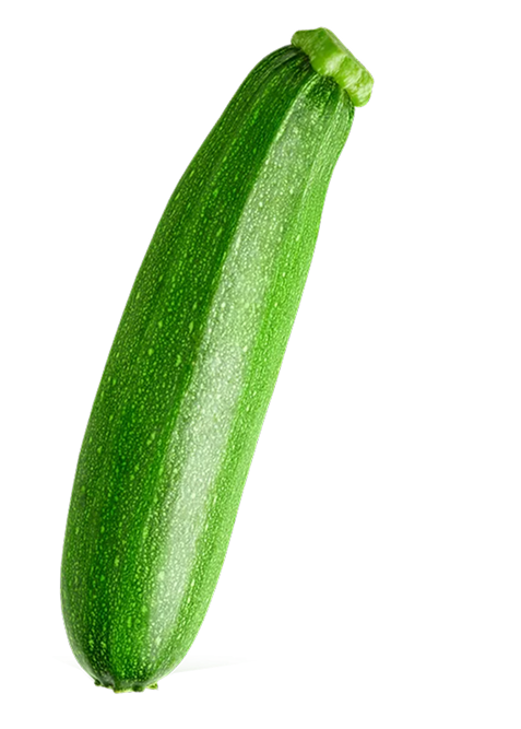 calabacin agrodolores
