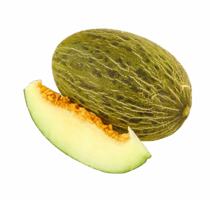 melon agrodolores
