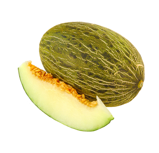 melon agrodolores