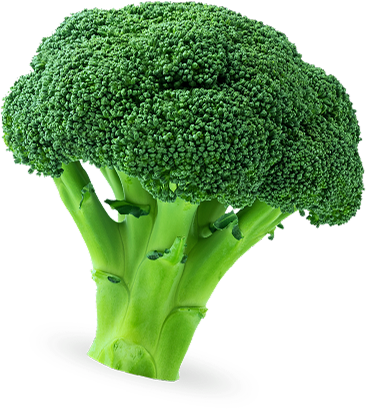brocoli agrodolores