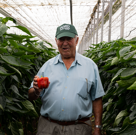 hombre mayor con pimiento en la mano de agrodolores