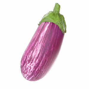 berenjena agrodolores